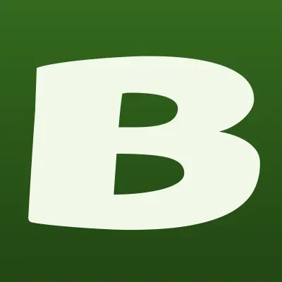 БАСЕН+, компания, лого-визитка