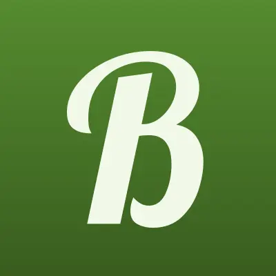 BEST CAR SERVICE-АСТРАХАНЬ, автосервис, лого-визитка