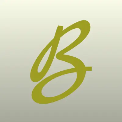 BINAR, сервисный центр, лого-визитка