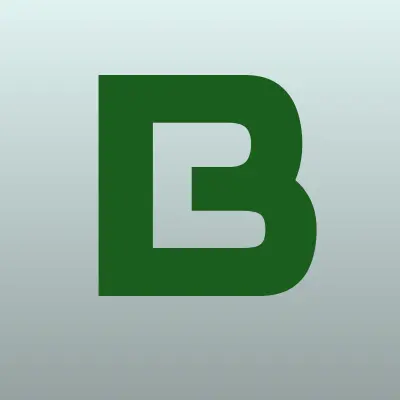 БТ СВАП, лого-визитка