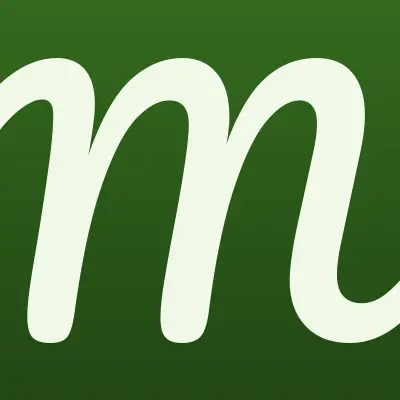 МегаСтрой, магазин, лого-визитка