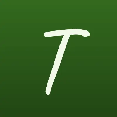 TIM CAR, автосервис, лого-визитка