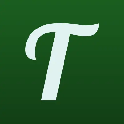 ТопЭнерго, лого-визитка