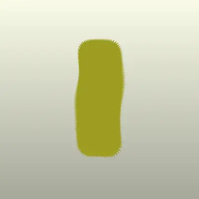 Иль де ботэ